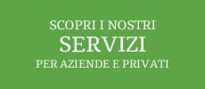 Scopri i nostri servizi